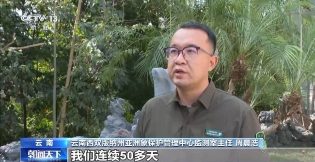 我国野生动植物保护交出亮眼答卷