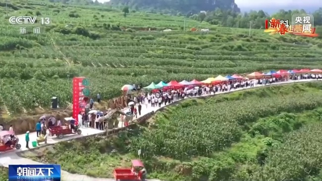 把传统集市搬到线上 他们让农产品走出大山