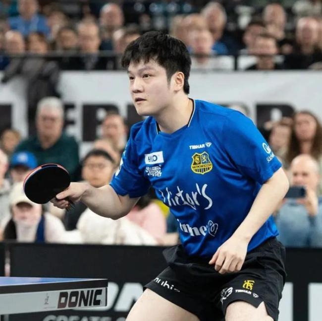 王励勤说樊振东回归问题还在联系 沟通进展中