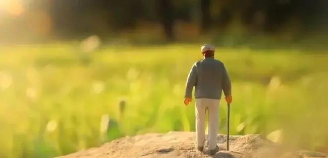 代表委员谈未来如何养老 探索多层次养老新模式