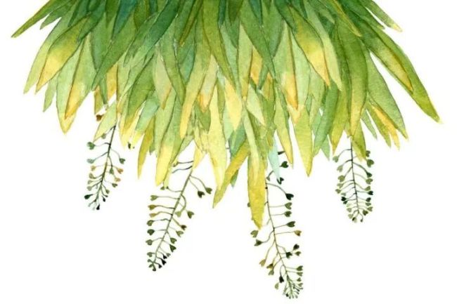 春季养生记取这三个重心