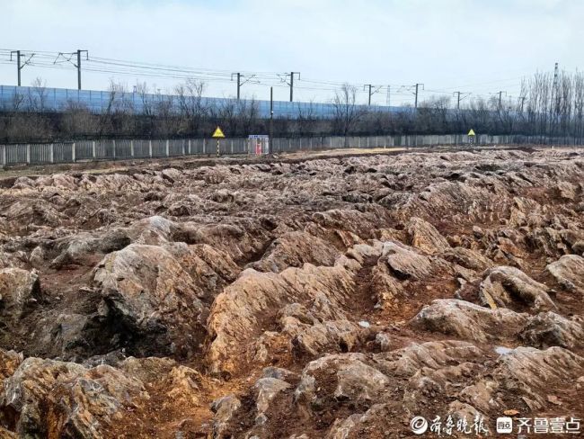 山东挖出约5亿年前“石海” 高铁施工意外发现