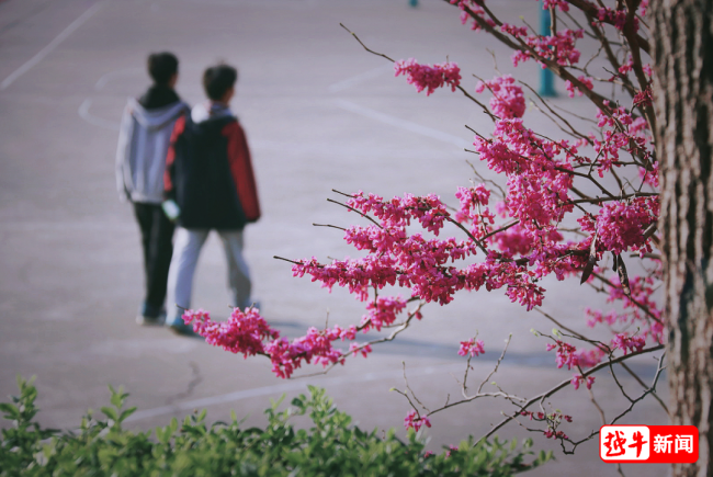 最长学期后迎来史上最短学期 80天冲刺