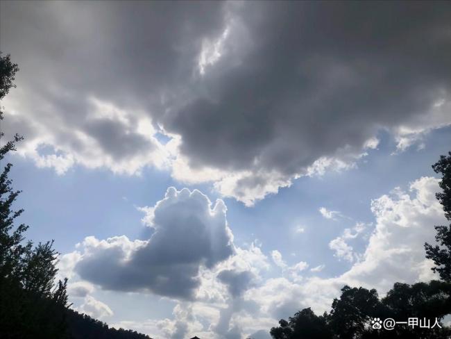 今天是惊蛰与天赦日罕见重合的吉日 阳气强旺万物生