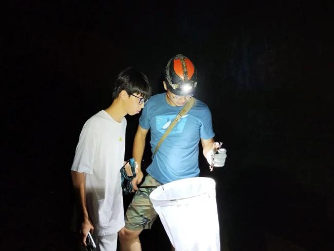 17岁男生发现新物种筷子蛇SCI发文 小小少年怀揣科学梦