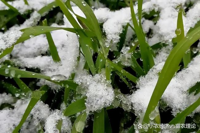 老人说“倒春寒来不来，就看正月十九”，今日正月十九有啥预兆 早看天知全年