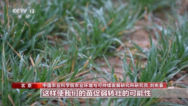 政策赋能+科技“慧”农 各地春耕备耕呈现新气象