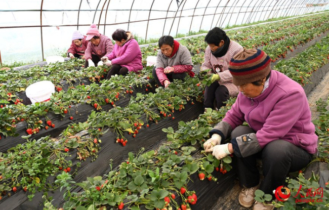 代表：要让农民工老有所依