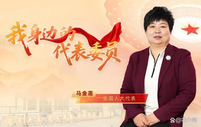 代表建议农村医保缴费不清零