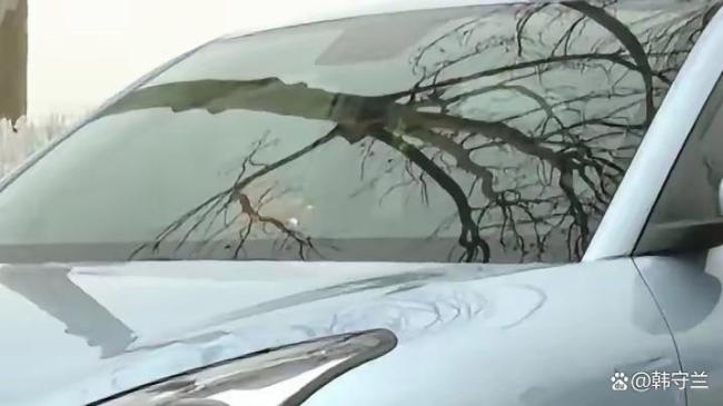 男子花7万买车 充满电要9小时 充电难题引热议