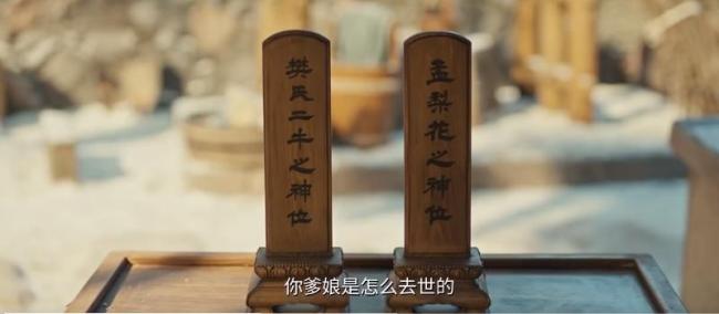 樊长玉真实身份 魏氏遗孤揭秘