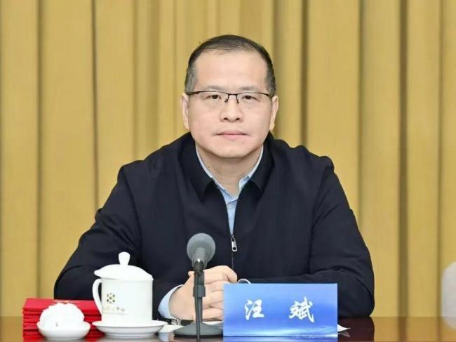 建议加大对利用AI诈骗的打击力度