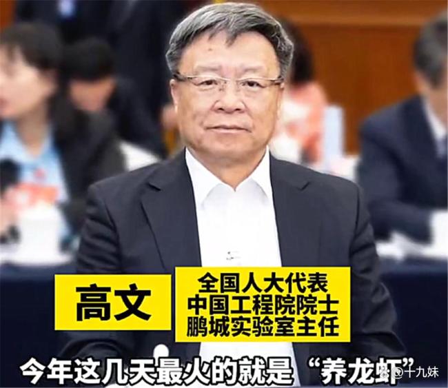 你真的适合“养龙虾”吗 造富神话背后的真相