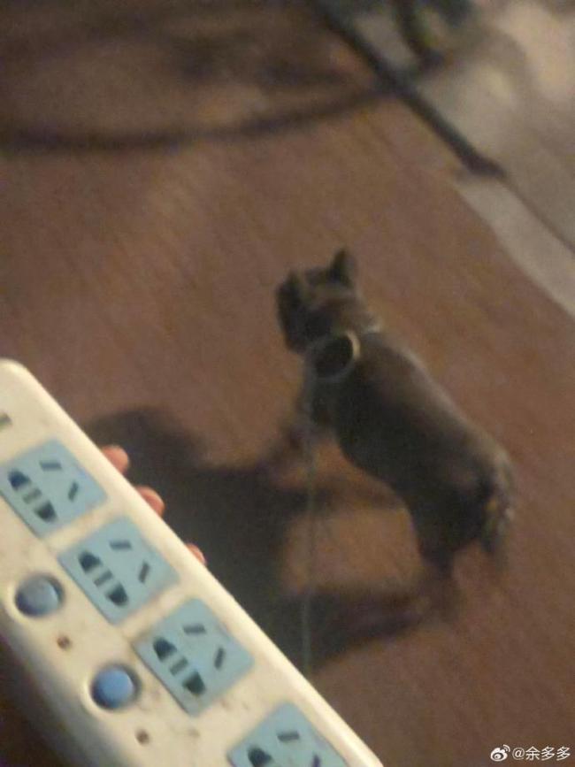 新能源小狗 网友：不充电不走啊