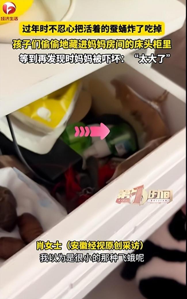 蚕蛹藏床头20天孵出4只巨蛾 母子惊声尖叫