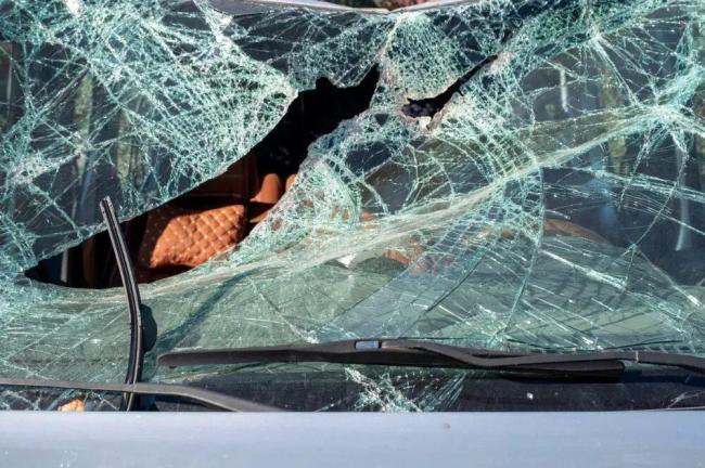 寿命到底由什么决定 基因影响超预期