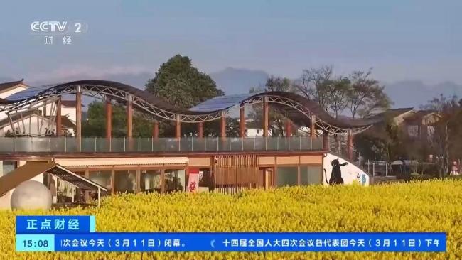 油菜花田打卡方式上新