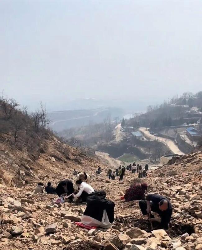 河南新密“山坡免费挖玉”爆火 游客蜂拥而至寻宝