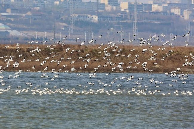 生态环境法典守护百姓美好生活 法治护航绿色未来