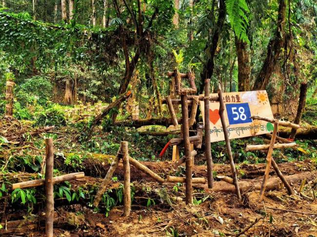 丁真控诉十个勤天 欢乐高原联欢会