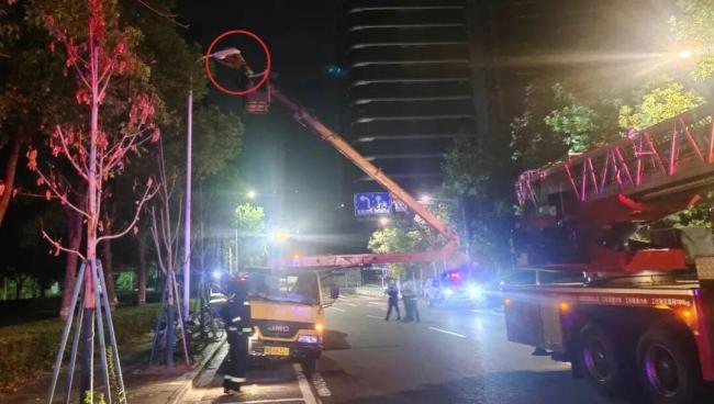 他用3小时从百米高空背回一条命 高空救援惊心动魄