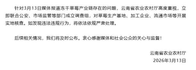 云南就冻干草莓产业链问题成立调查组 多部门联合实地核查