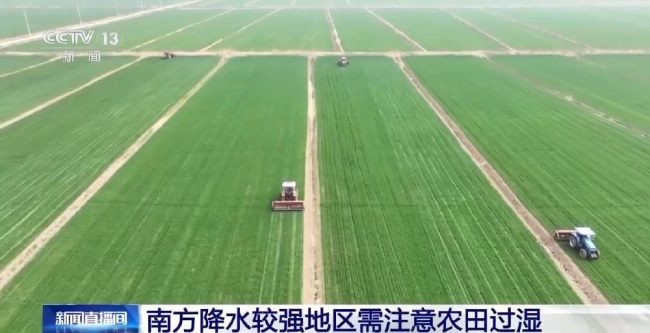 别只说冷！“冷”的程度分为五个等级 冷空气分级知多少