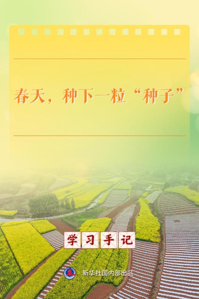 学习手记丨春天，种下一粒“种子”