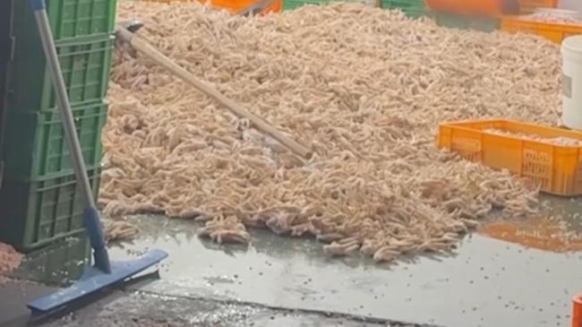 网红鸡爪竟是双氧水“漂白”的