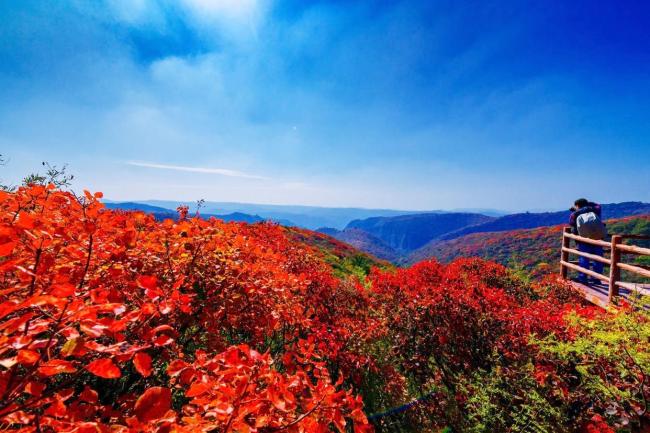 这些景区免票了 3-4月优惠大放送