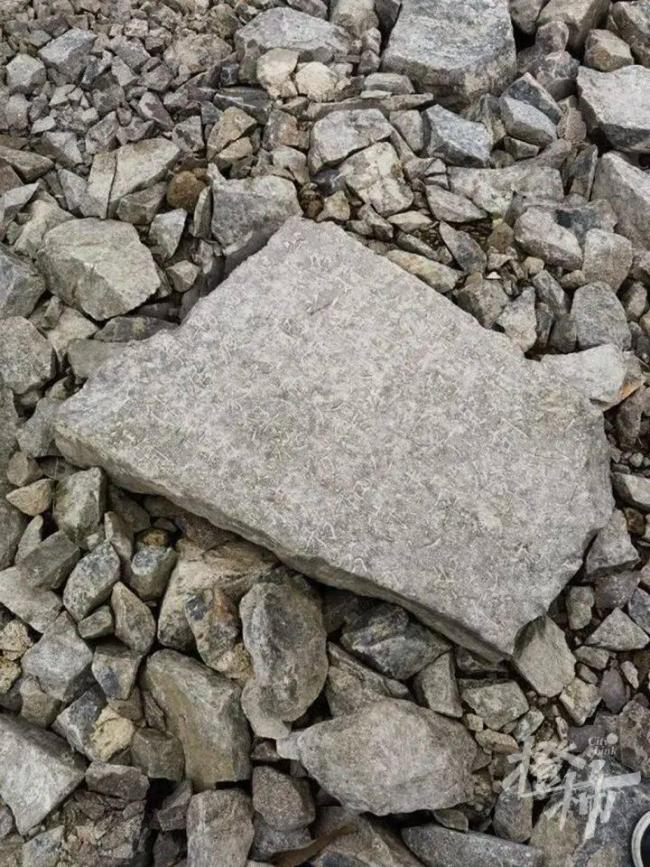 学生发现神秘古碑联系文保部门 少年获文物局表扬