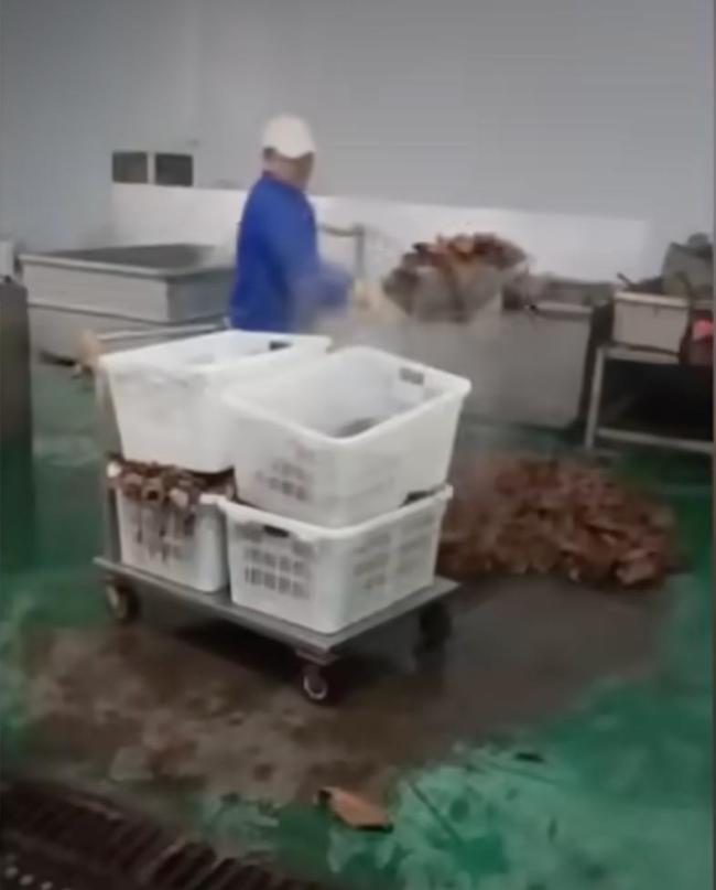 鹿哈公司股东控股问题毛肚公司