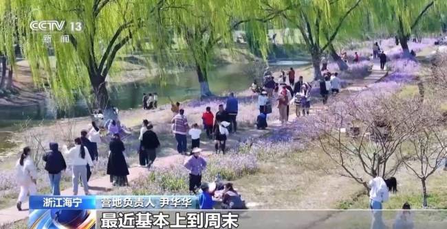 各地特色活动邀你尽享春日惬意