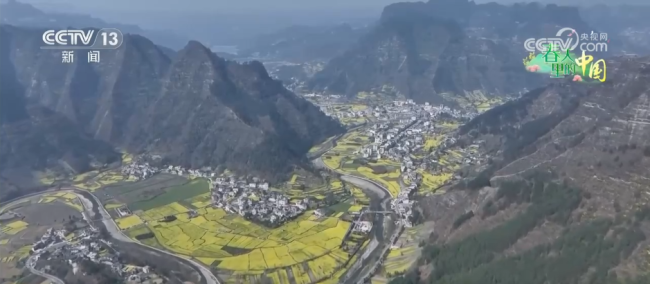 金色花海，把“春日流量”裝進村民的“錢袋子”