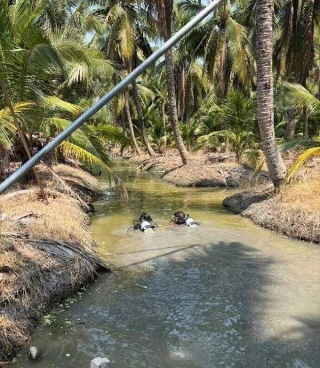 中国女子在泰国被抛尸后续