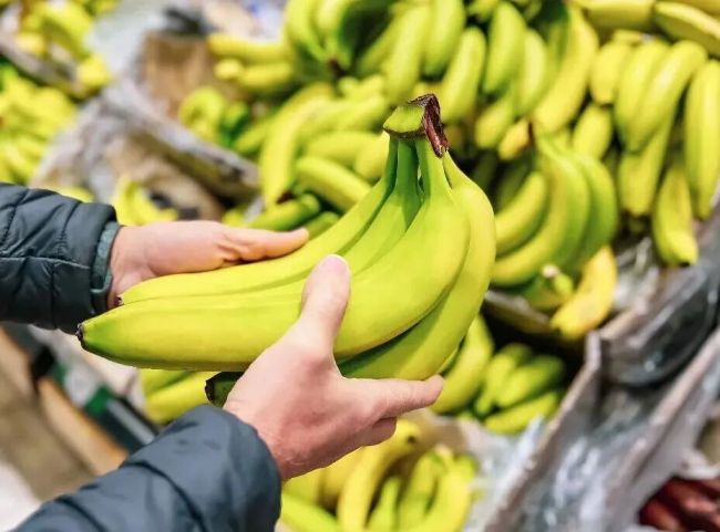 香蕉真的会灭绝吗