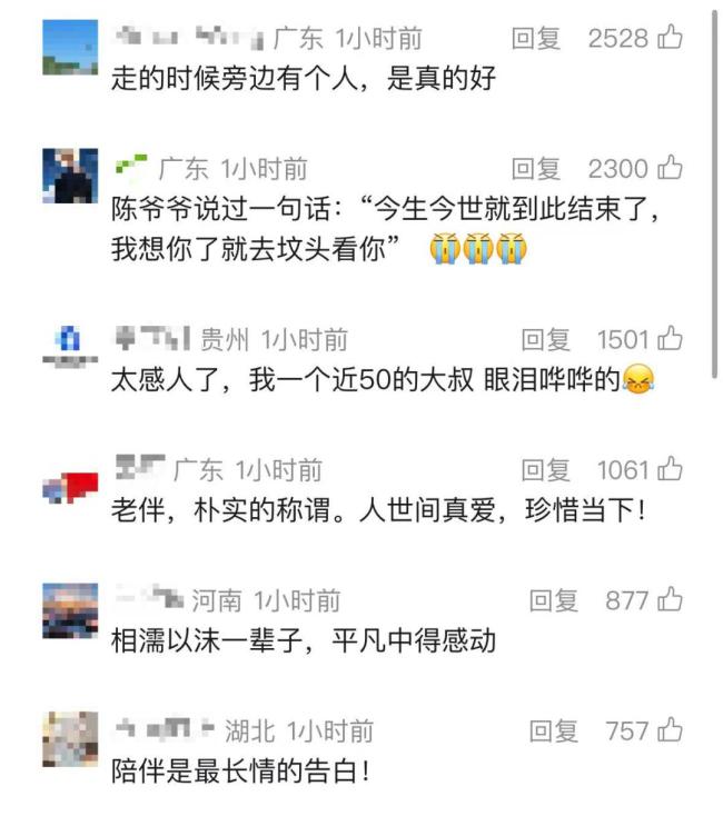 “世界上顶好顶好的老太婆”走了 105天的跨城守望