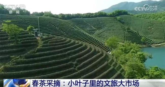 春暖花开各地文旅持续升温 多彩活动激发消费活力