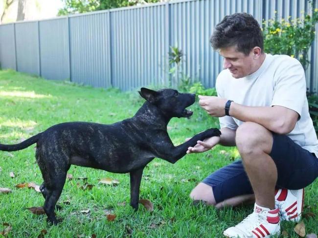 “问两句 AI” 就能开发抗癌疫苗?真相可不是这样