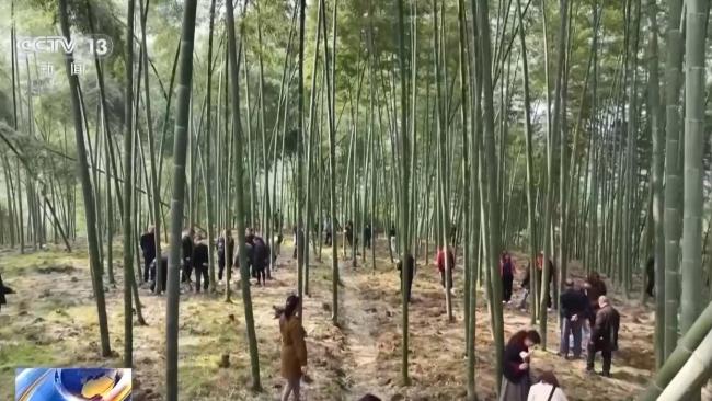 非遗体验引领文旅新风尚 沉浸式互动激活消费