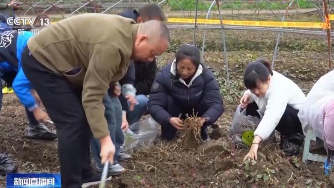 非遗体验引领文旅新风尚 沉浸式互动激活消费