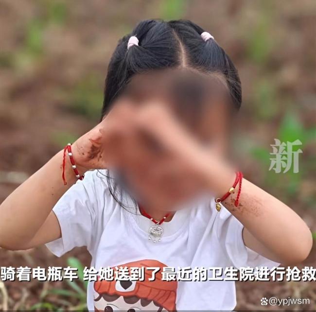 5岁女童扁桃体手术后死亡母亲发声