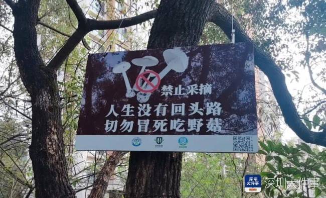 深圳一对夫妻喝汤后双双入院 警惕野生毒蘑菇
