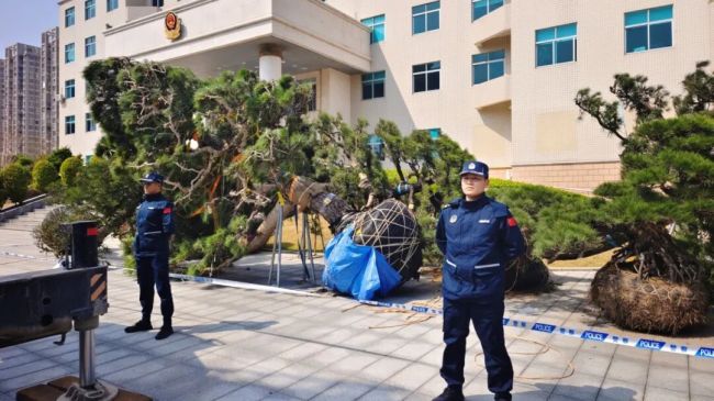 打擊海上走私，海警在行動！
