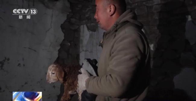 20万余头牛羊“搬家”进行中 春牧场转场启动