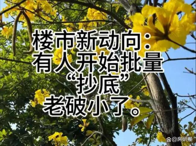 有人抄底老破小一买就是七八套