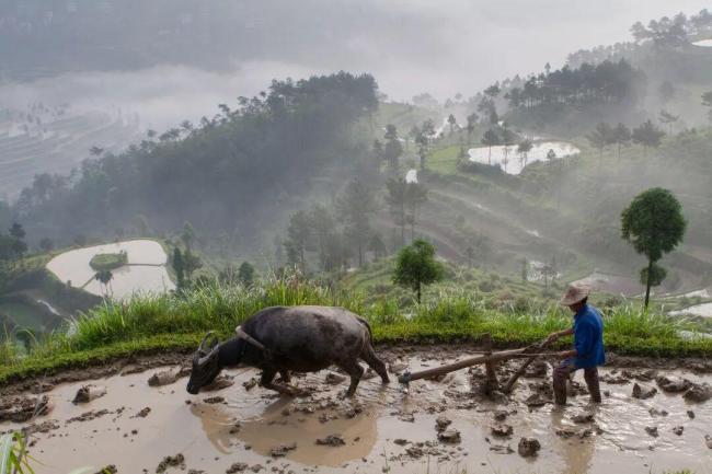 春分 阴阳相半昼夜均