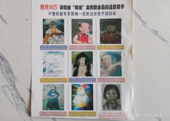 律师回应梅姨是否会判死刑