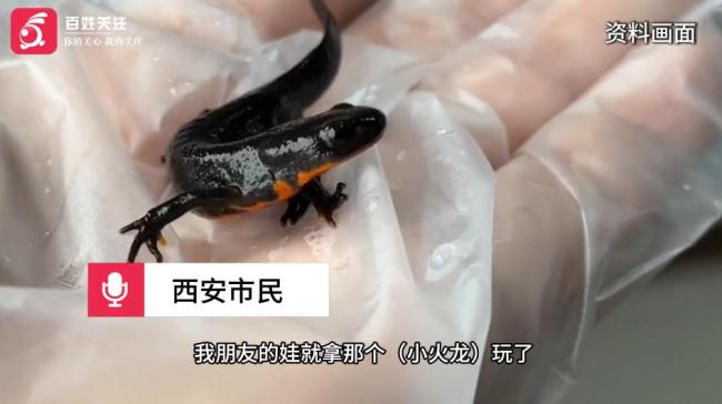 小学生校门口买小火龙后中毒