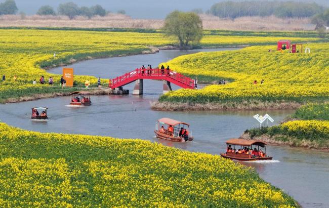 早春的花为啥多数是黄色的 植物的生存智慧